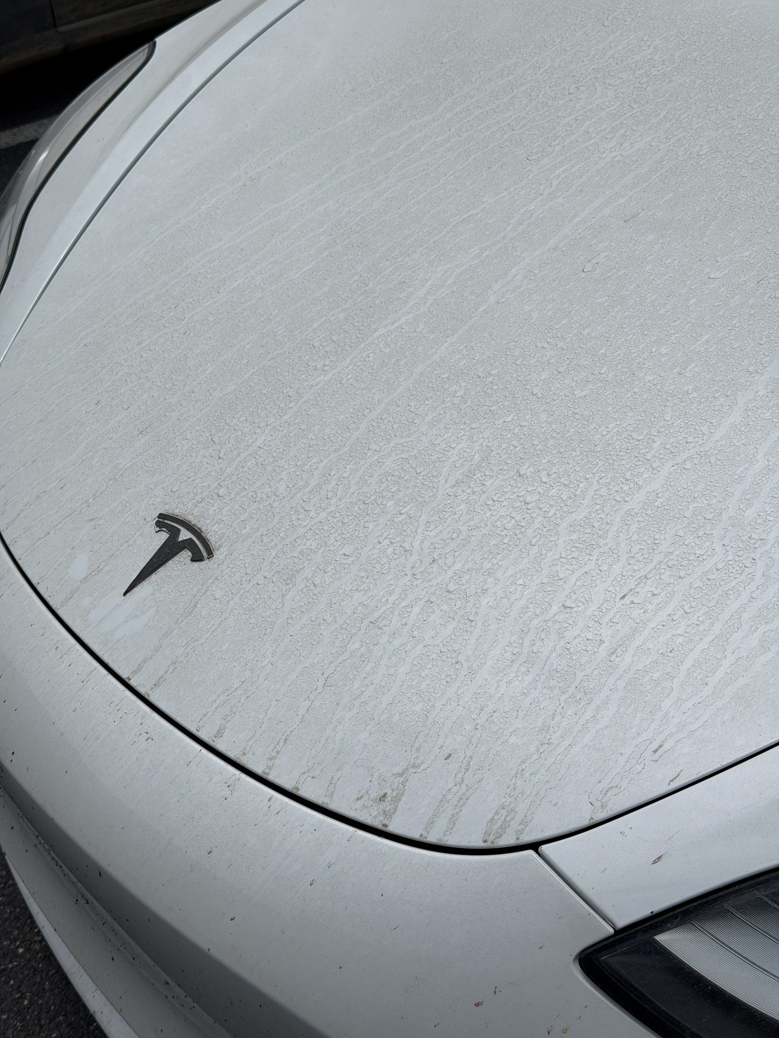 Tesla hood before detail, dusty finish